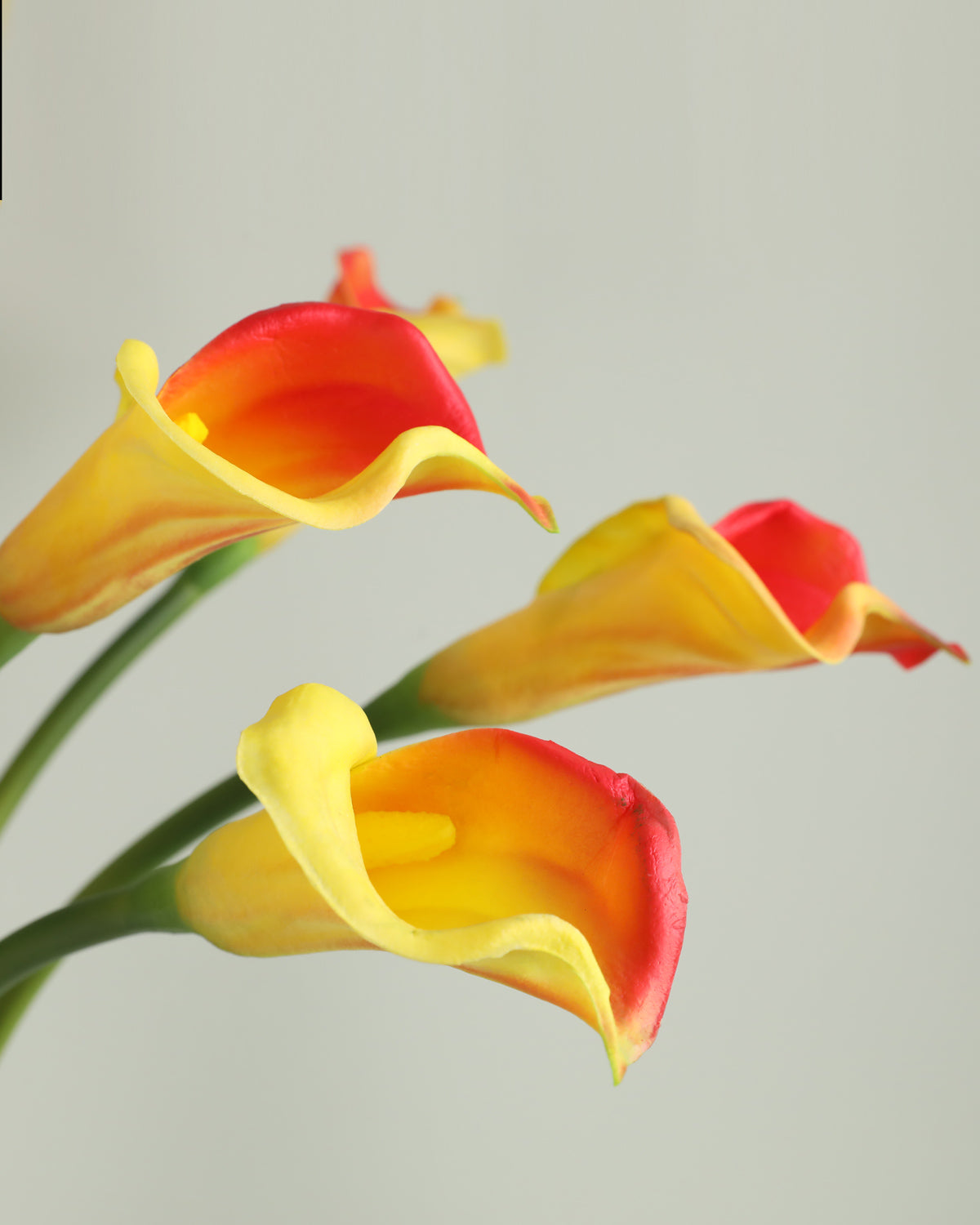 Artificial Real Touch Calla lily Long Stem