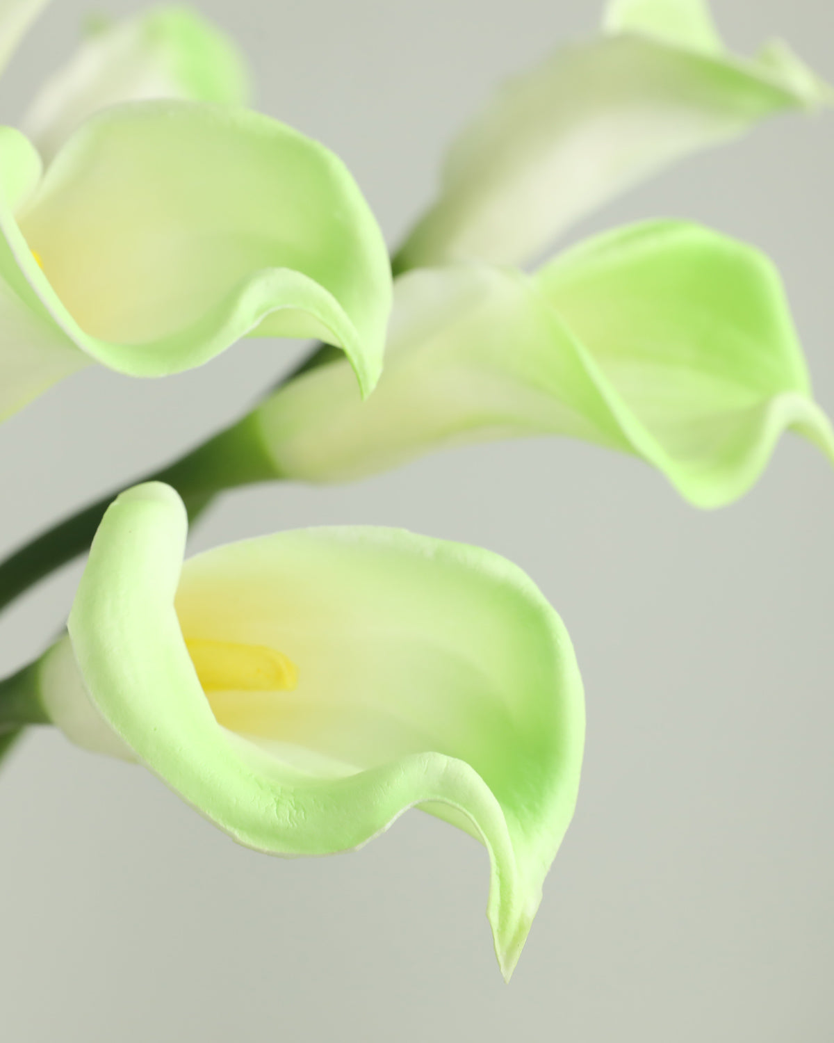 Large Real Touch Calla lily Green