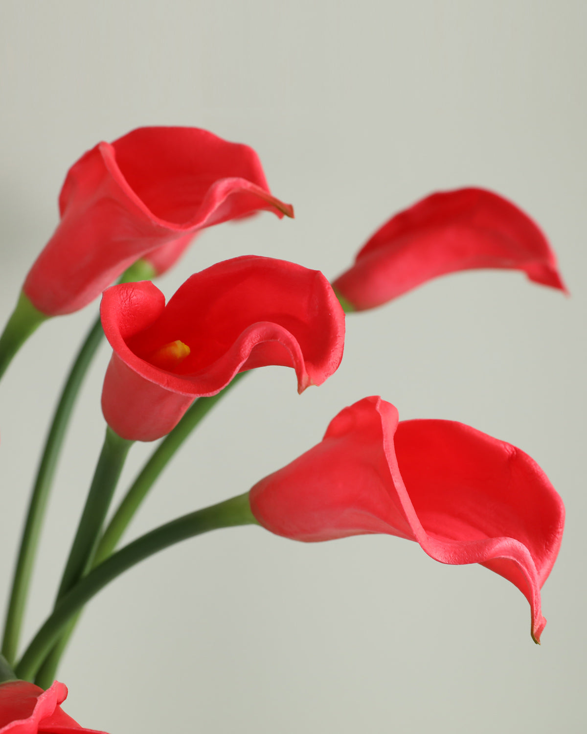 Large Real Touch Calla lily Red