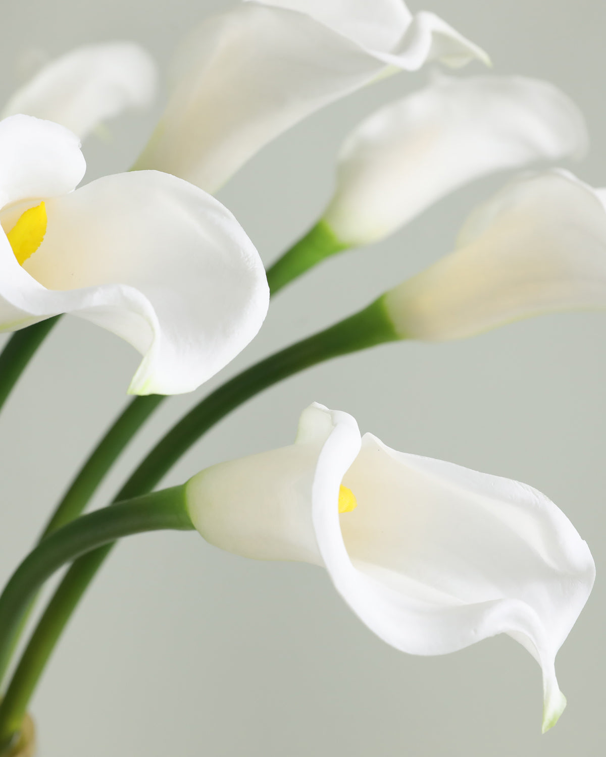 Large Real Touch Calla lily White