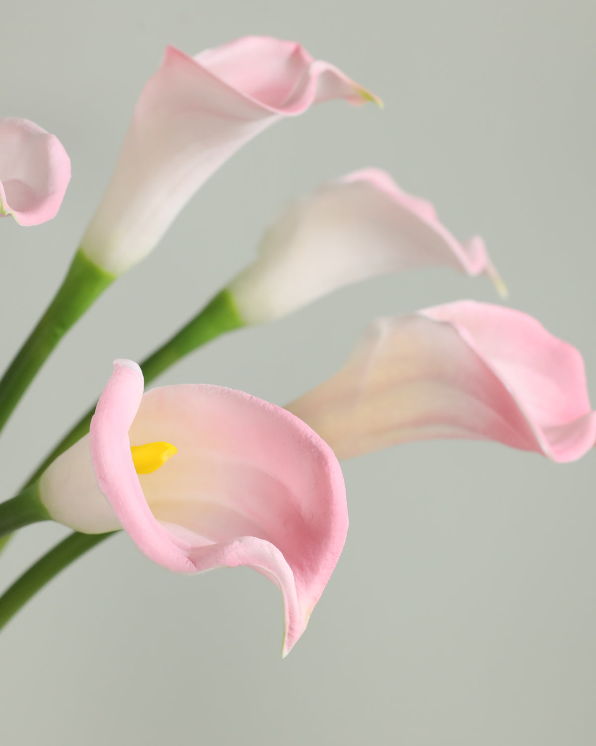 Quality Artificial Pink Calla lily