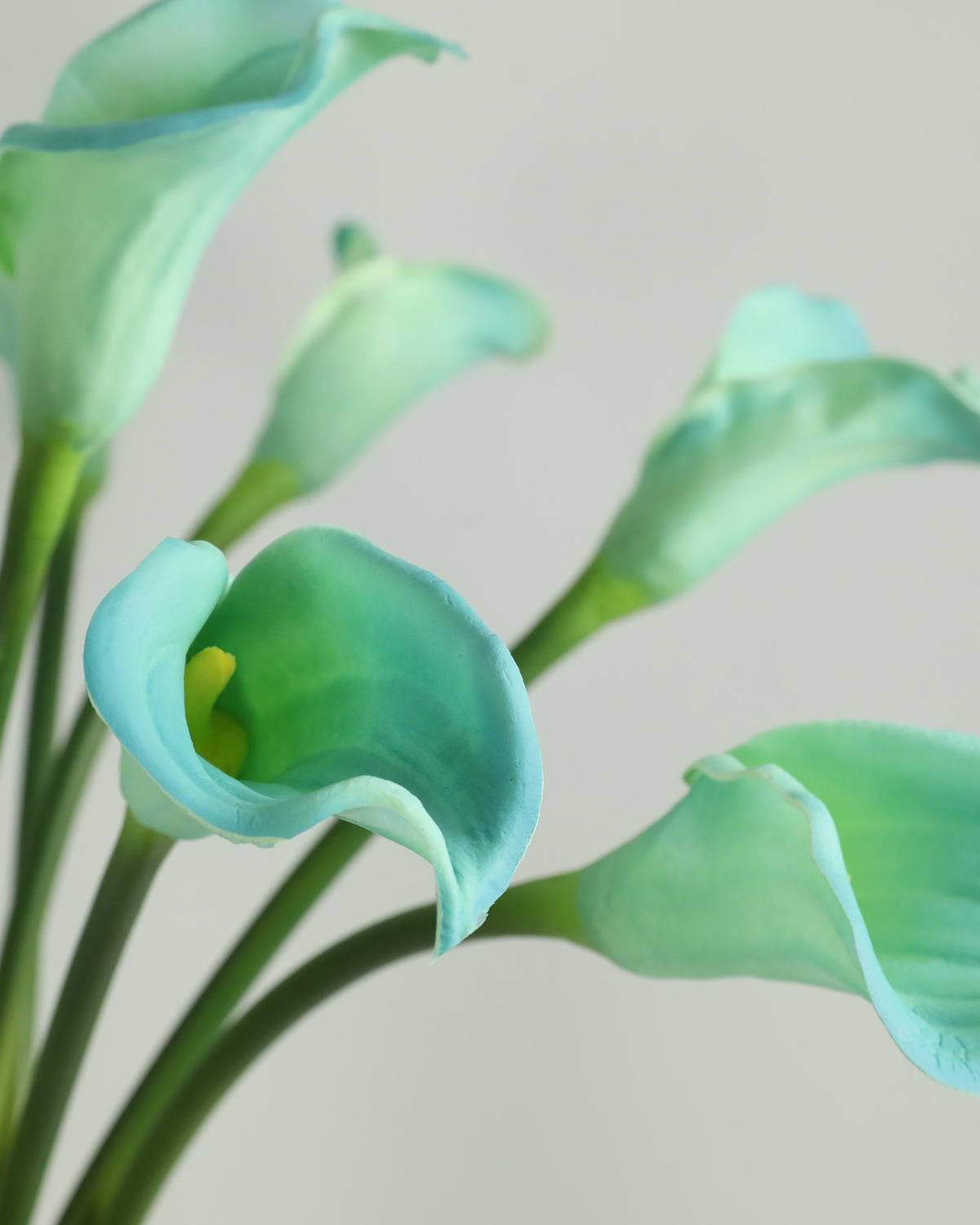 Best Real Touch Cyan Calla Lily