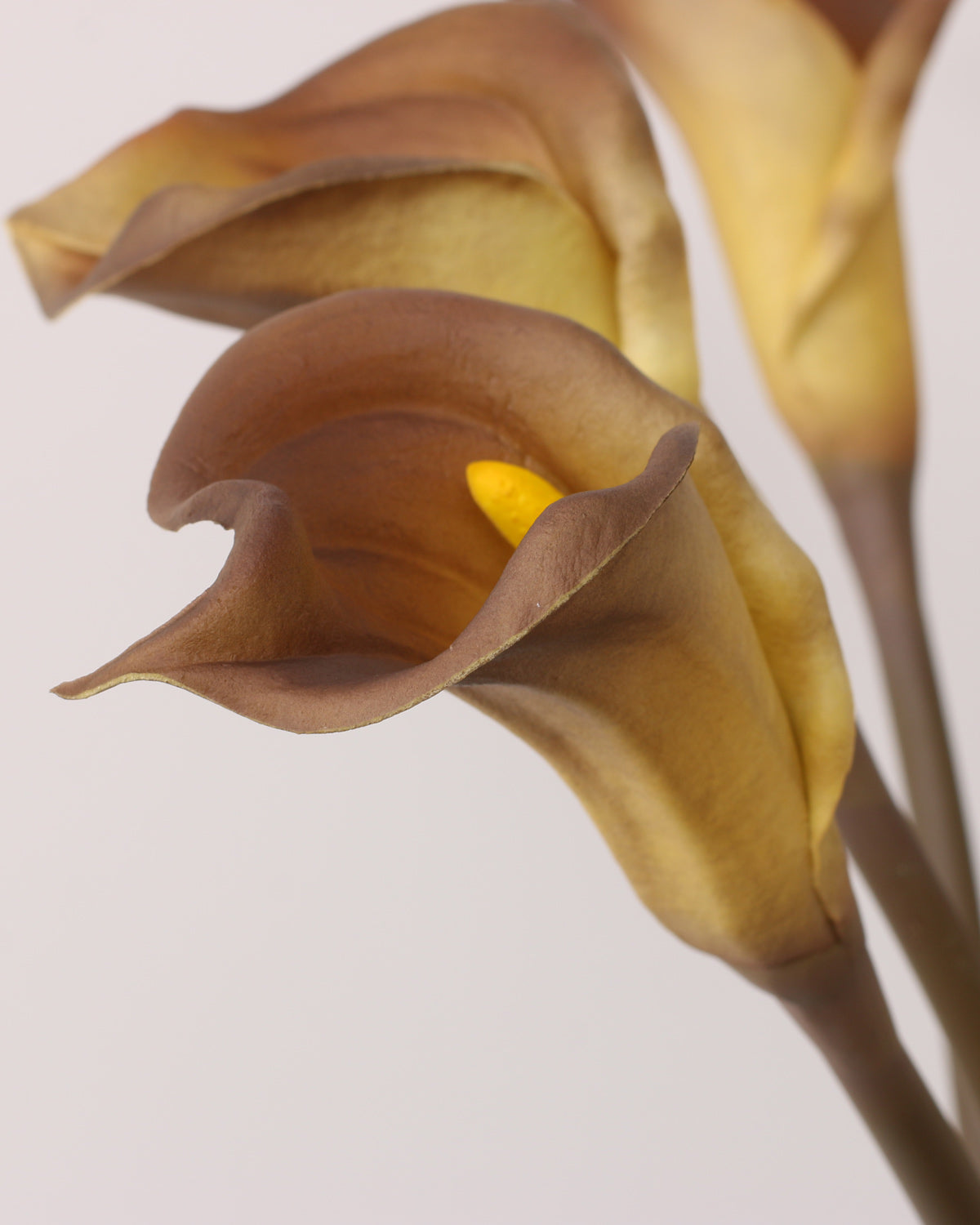 Realistic Real Touch Calla Lily Caramel