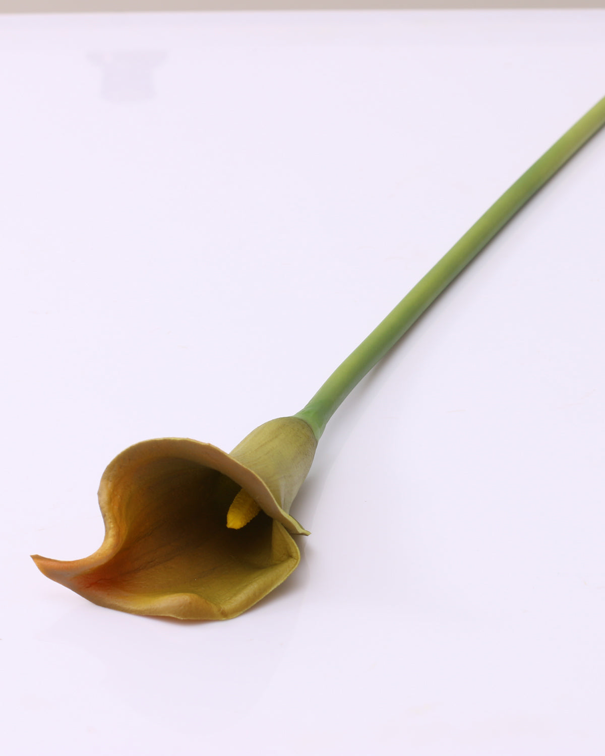 Artificial Real Touch Calla Lily Brown